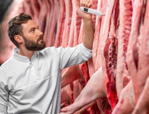 Conservation de la viande : recommandation de nos experts